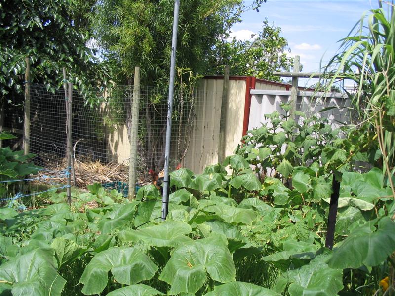 IMG_1598 (Medium).jpg