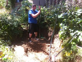 New Fish Tank Earth Works.jpg