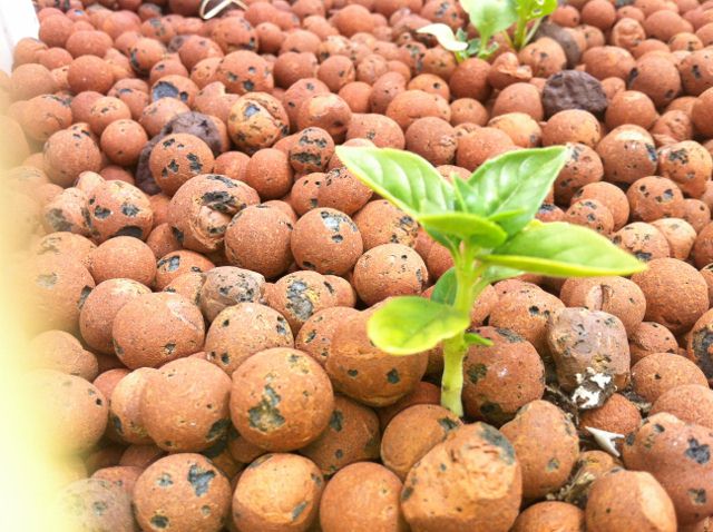 0258small (640x478).jpg