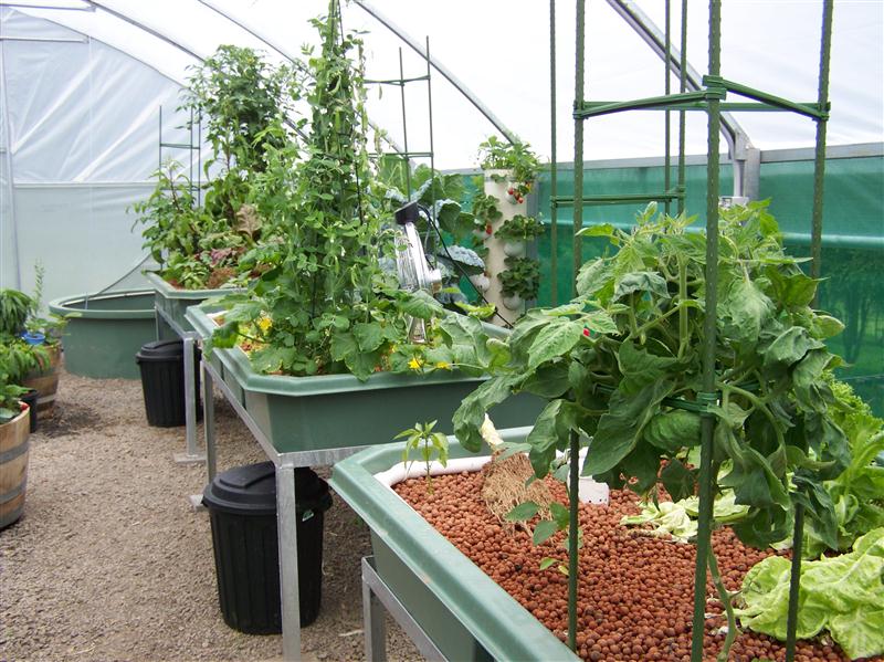 100_6704 (Custom).JPG