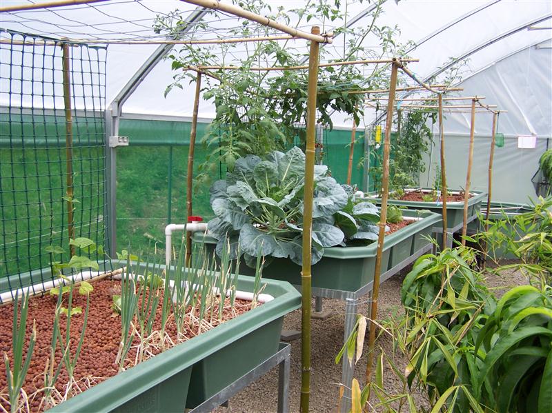 100_6705 (Custom).JPG