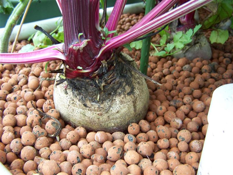 100_6709 (Custom).JPG