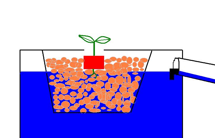 zBio water level.JPG