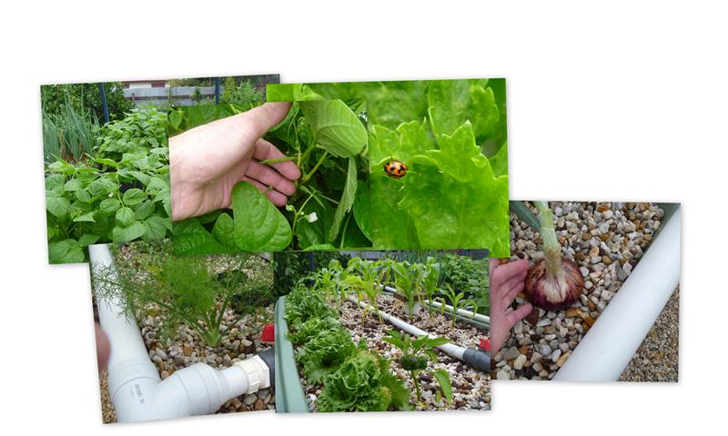 2011-11-19 (Small) (2).jpg