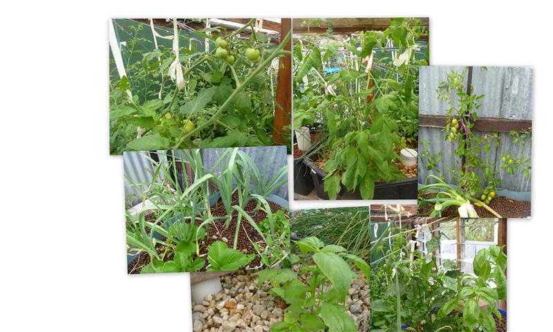 2011-11-191 (Small).jpg