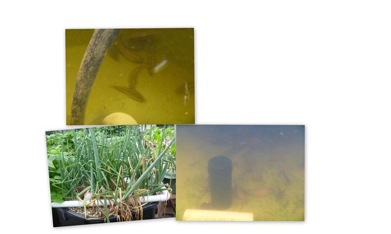 2011-11-192 (Small).jpg