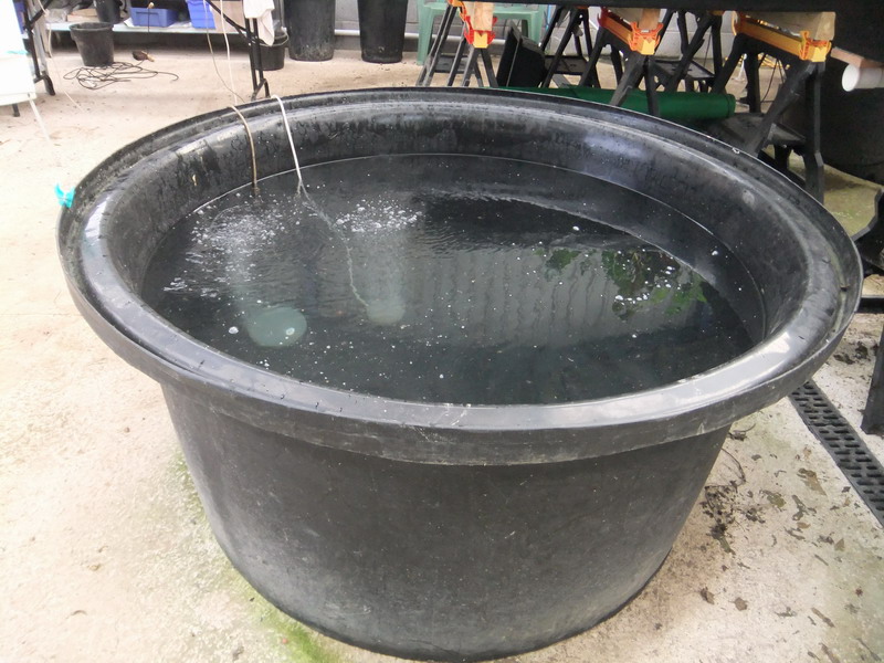 holding tank with aerator.jpg
