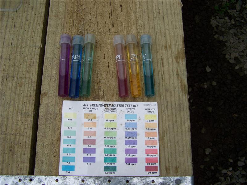 100_6708 (Custom).JPG