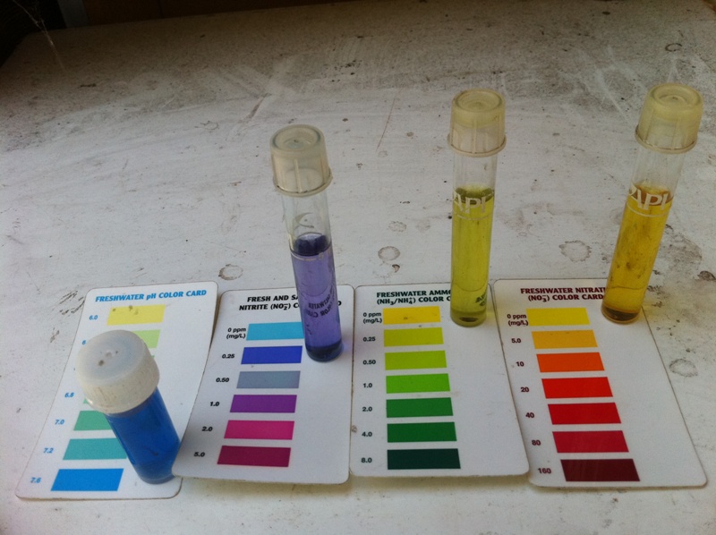 Test morning 23-11-11.JPG