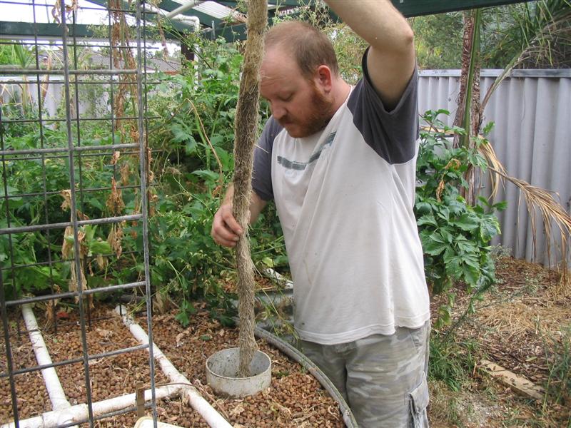 IMG_2030 (Medium).jpg