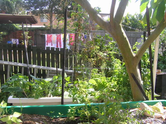 eastern growbed cropped.jpg