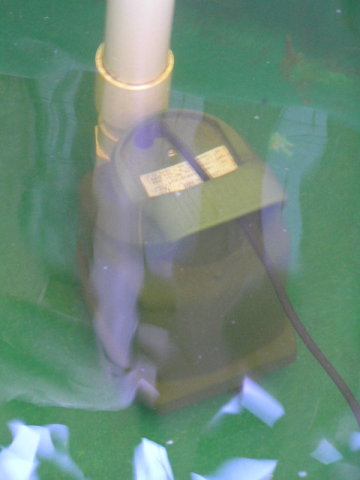 davey pump cropped.jpg