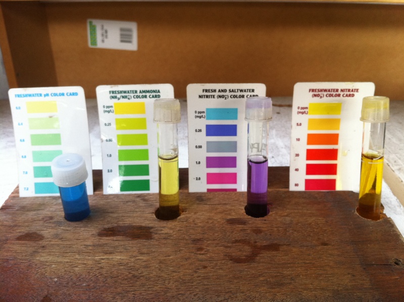 Test AM 25-11-11.JPG