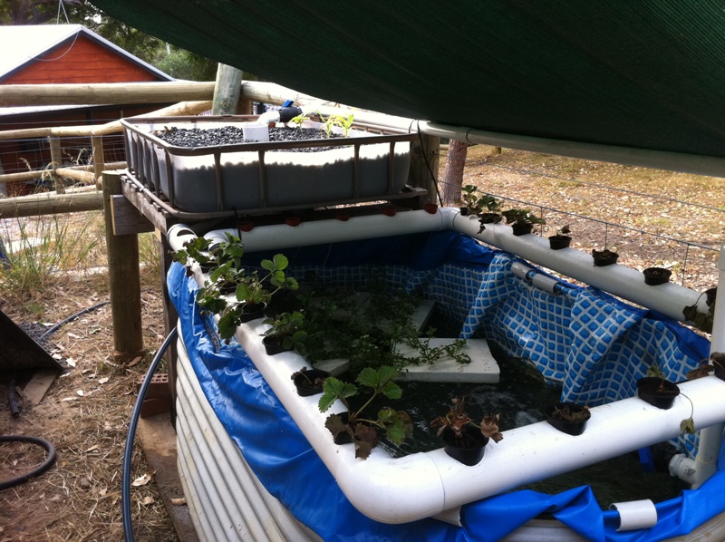 25-11-11 system to date.JPG