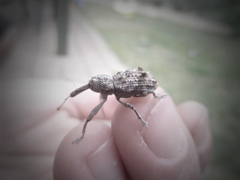 P1010607 (Medium).JPG