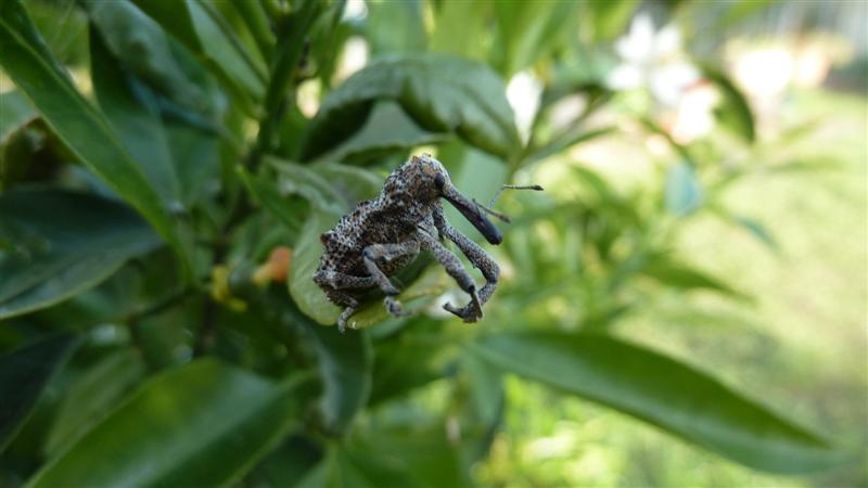 P1010550 (Medium).JPG