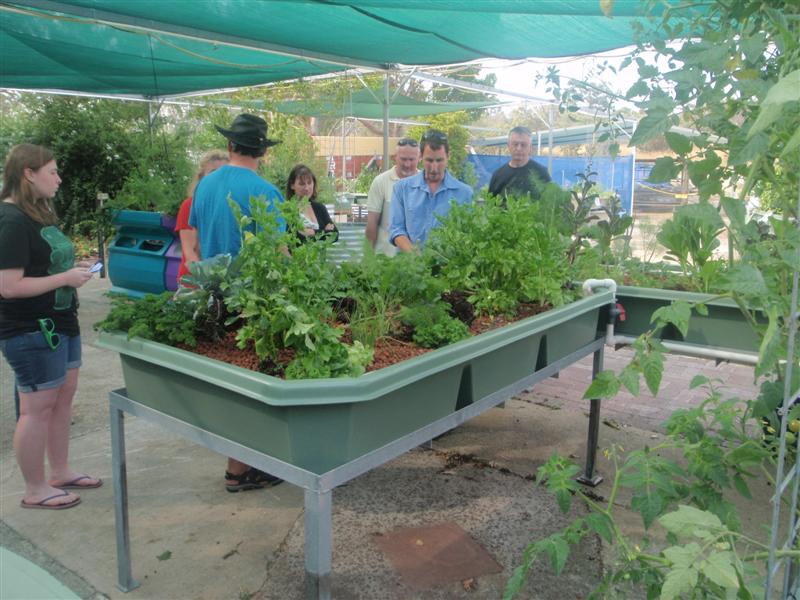 PB260009 (Medium).JPG