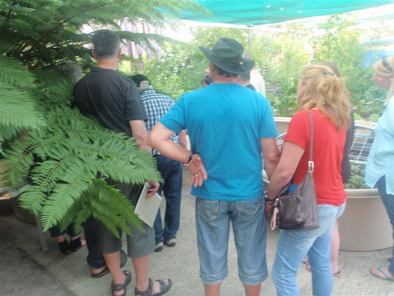 PB260011 (Medium).JPG