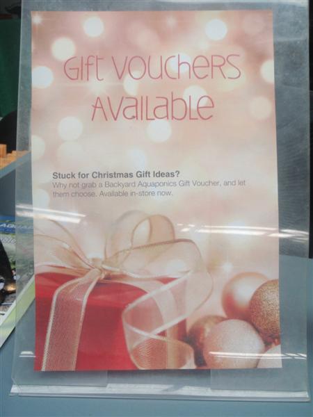 PB260017 (Medium).JPG