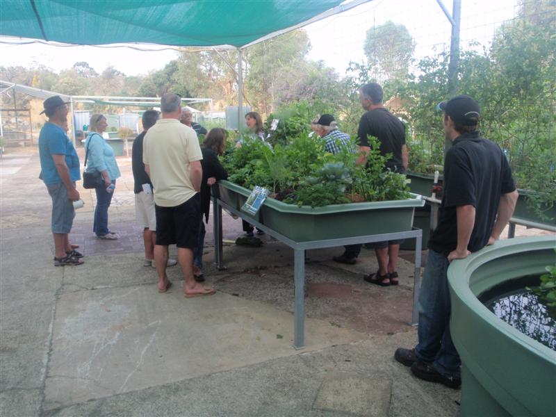 PB260020 (Medium).JPG