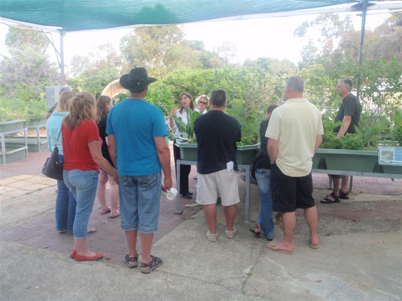 PB260021 (Medium).JPG