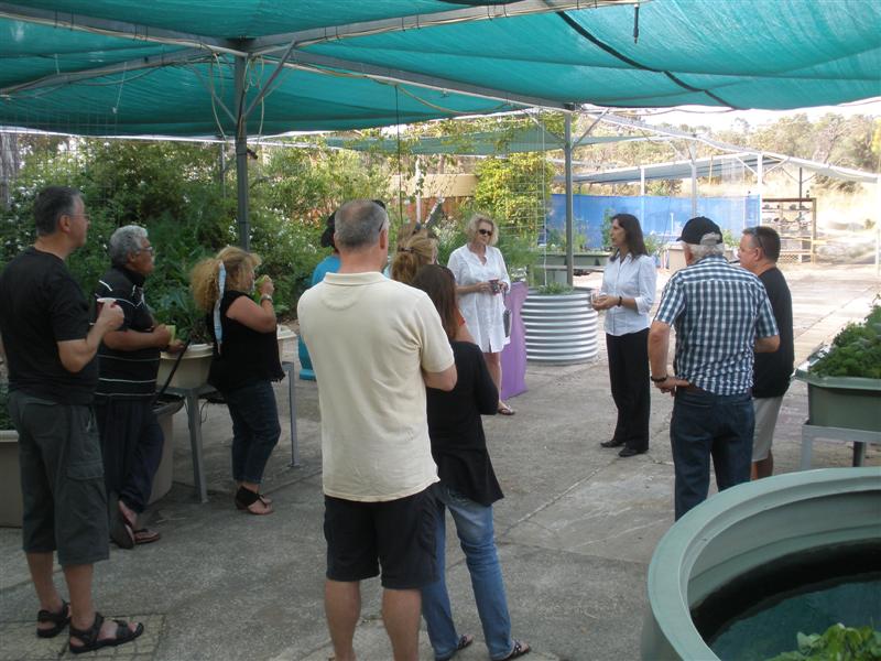 PB260337 (Medium).JPG