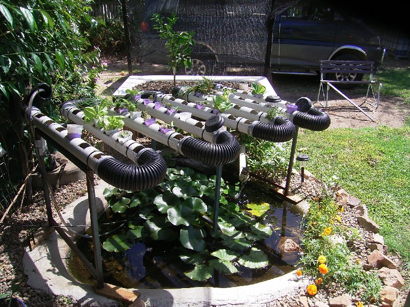 aquaponics systems 004.jpg