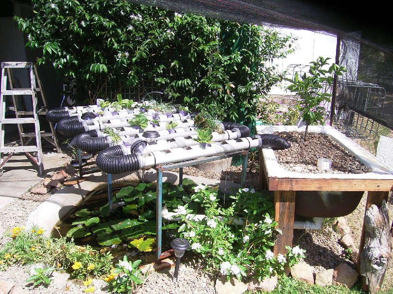 aquaponics systems 003.jpg