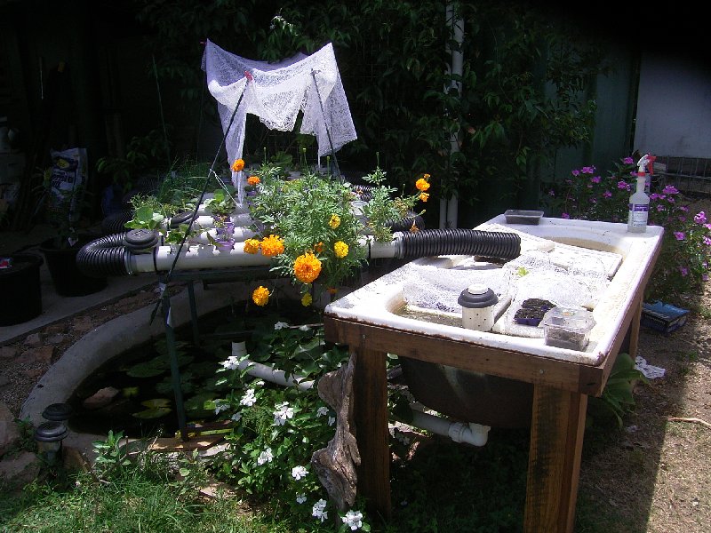 Everything up till Nov 26th 2001 134.jpg