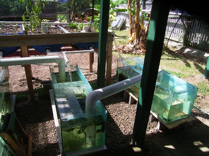 aquaponics systems 007.jpg