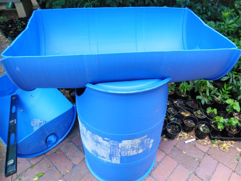 SAM_1106 (Medium).JPG