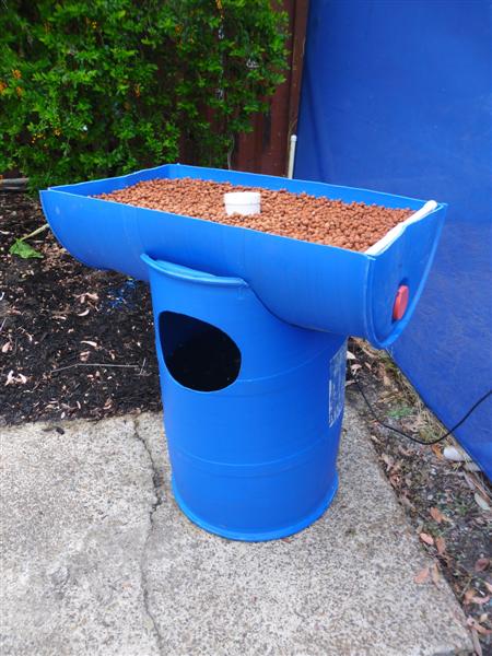 SAM_1122 (Medium).JPG