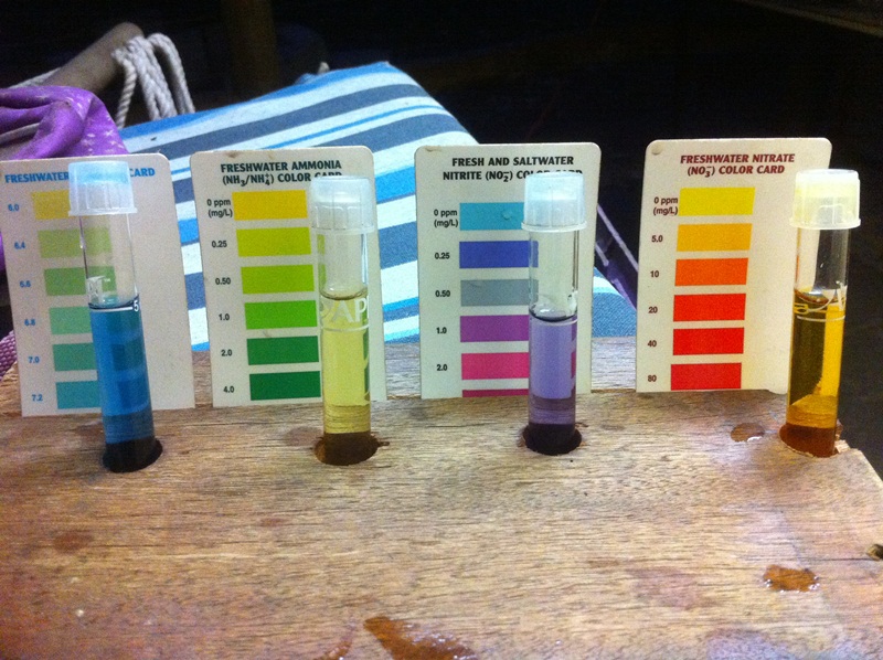 Test PM 28-11-11.jpg