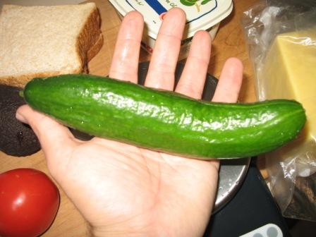 my cucumber.jpg