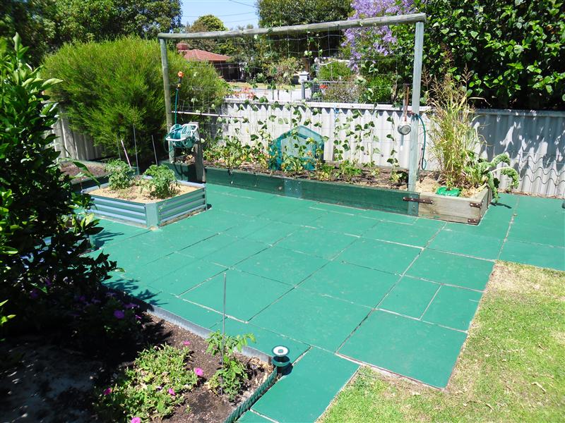 SAM_0758 (Custom).JPG