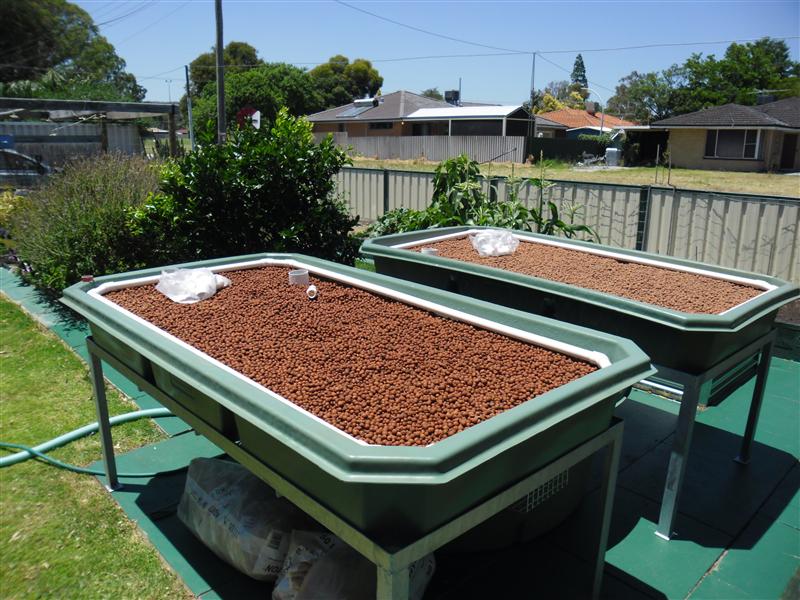 SAM_0764 (Custom).JPG