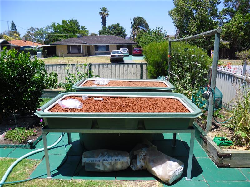 SAM_0767 (Custom).JPG