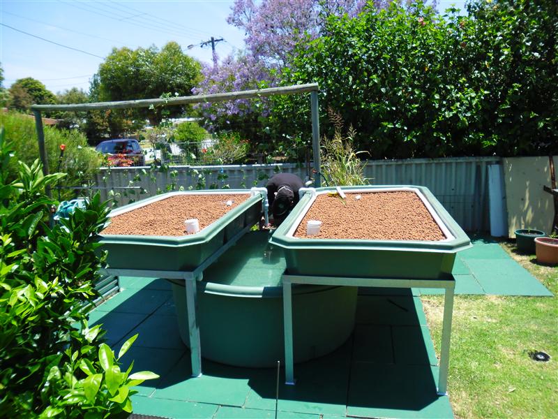 SAM_0769 (Custom).JPG