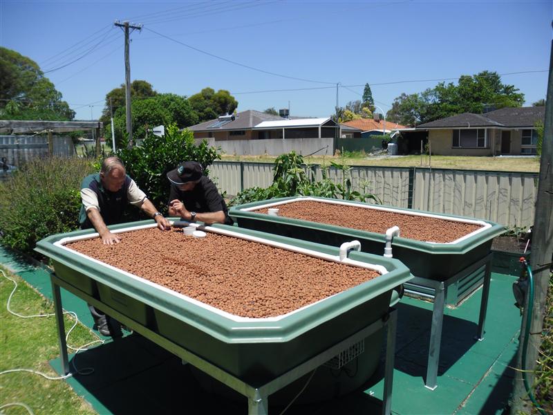 SAM_0773 (Custom).JPG