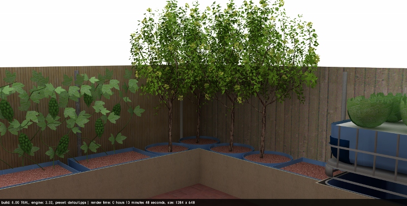 aquaponic 2011-10-14 23114400000 (800x404).jpg