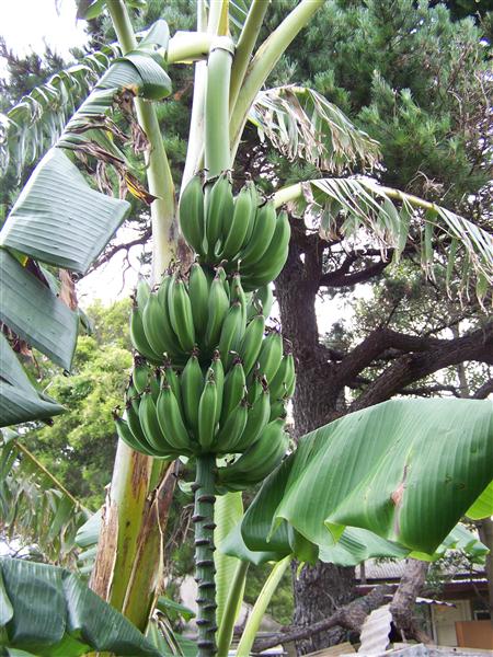 100_6720 (Custom).JPG