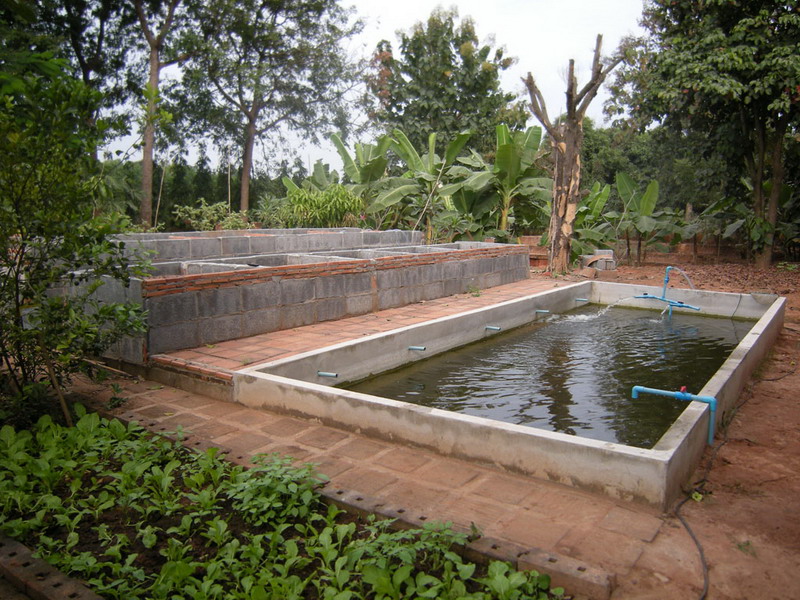 DSCN6547 no 2 pond.JPG