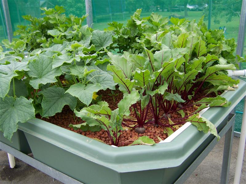 100_5618 (Custom).JPG