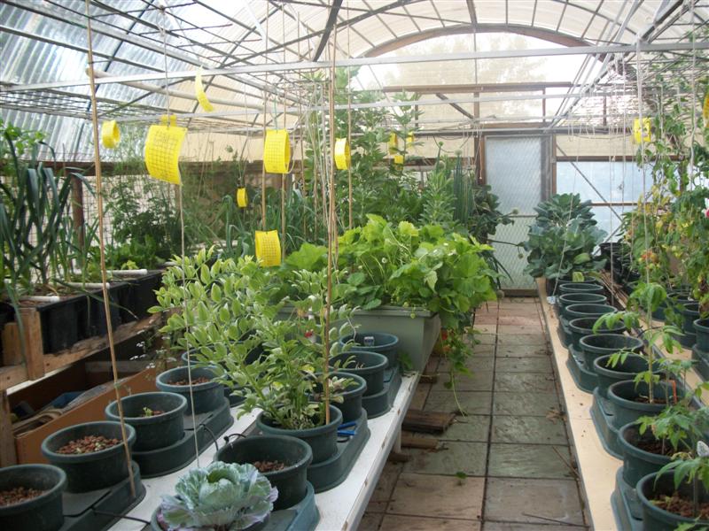 100_0168 (Medium).jpg