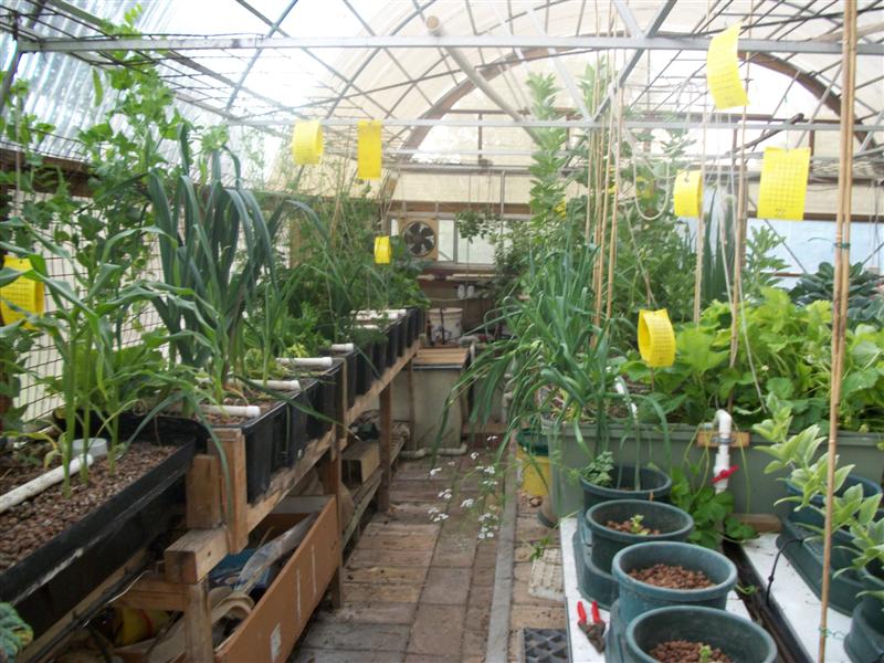 100_0169 (Medium).jpg