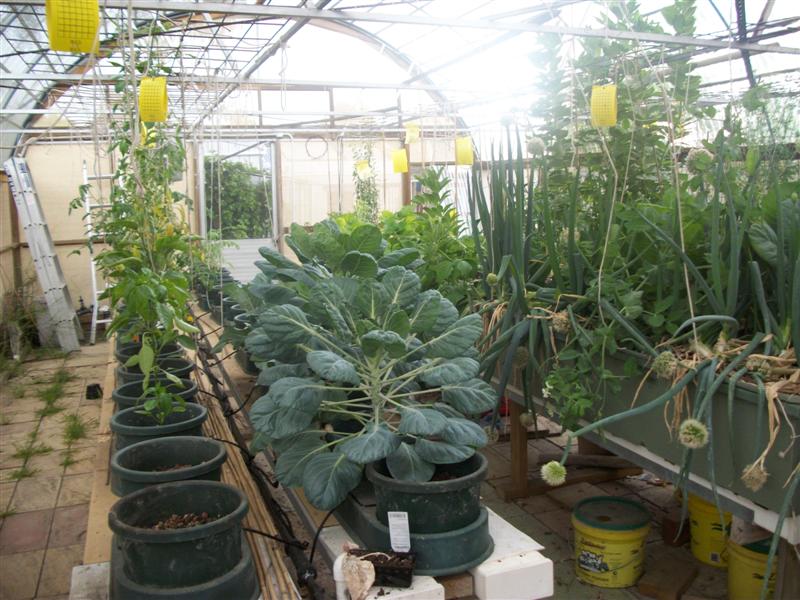 100_0170 (Medium).jpg