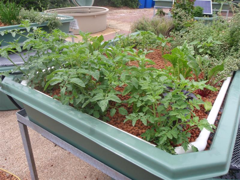 PC080363 (Medium).JPG