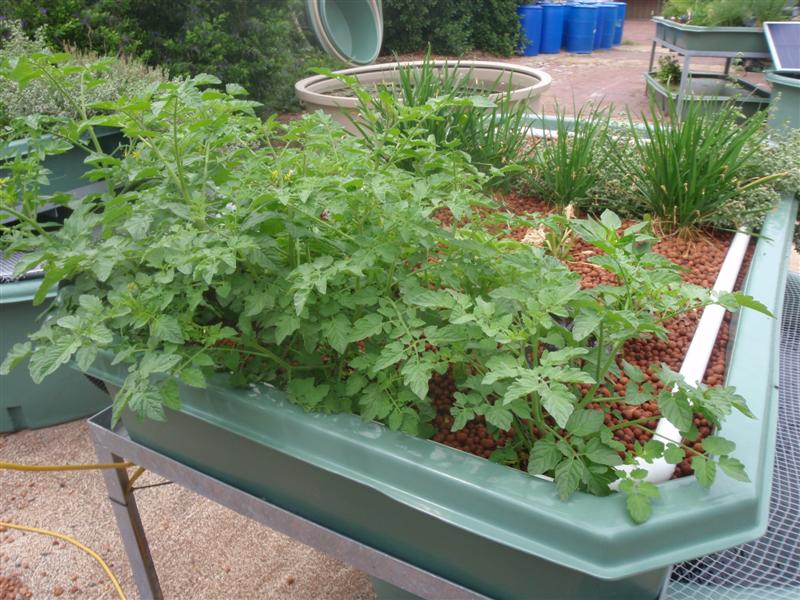 PC080364 (Medium).JPG