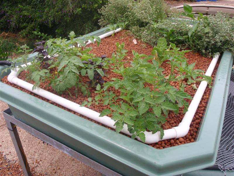 PC080365 (Medium).JPG