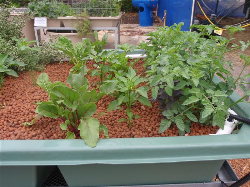 PC080366 (Medium).JPG